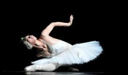 独舞天鹅爆料视频,视频背后惊人真相曝光